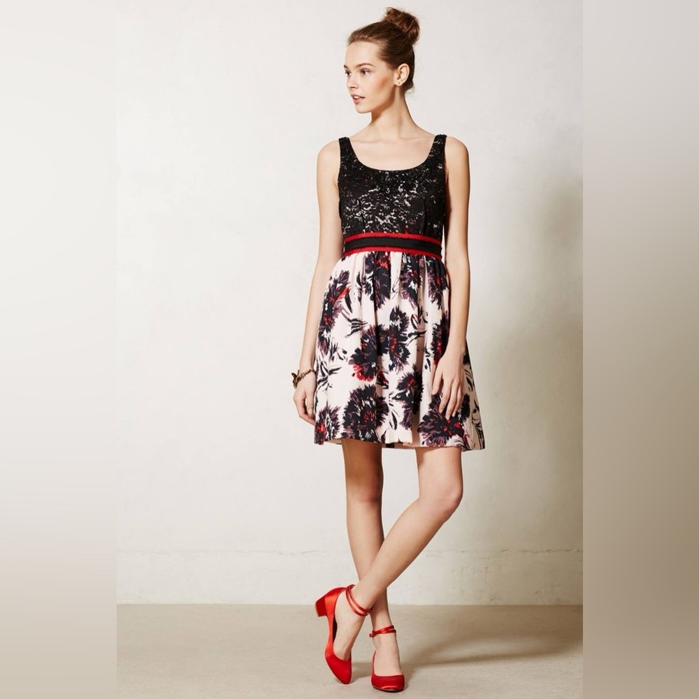 NWT Anthropologie Peter Som Brushstroke Blossoms Dress